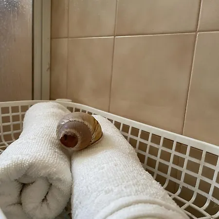 Sand Guest House Torreira ヴィラ トレイラ